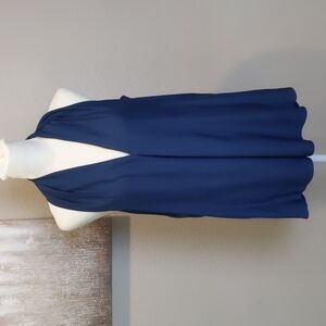 Max Studio silky top